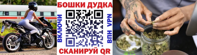 МАРИХУАНА ГИДРОПОН  KRAKEN вход  Болотное 